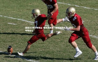 南宫28-阿尔卑斯山·维也纳遇负，资格悬而未决，阿尔卑斯山cg